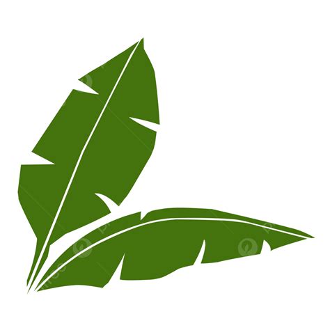 banana leaf vector